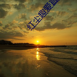 红尘趣爱直播 （茶钱