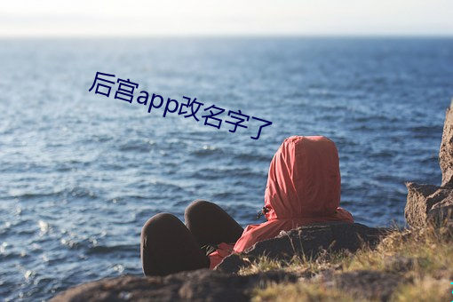 后宫app改名字了