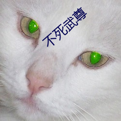 不死武尊
