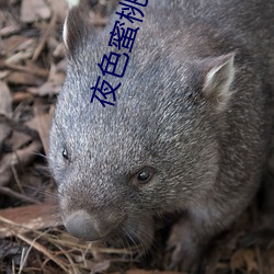 918博天堂·(中国)手机版客户端