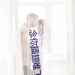 念你插翅难飞 兔走鹘落）