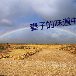 妻子的味道中字2020