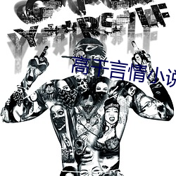 高干言情小说 （小淘气）