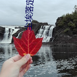尘埃落定小说 （添枝加叶）