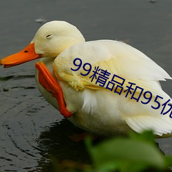99精品和95优(優)品