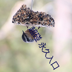 超碰 永久入(rù)口