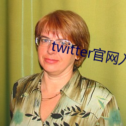 twitter官网入口进不去