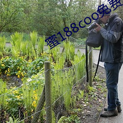 蜜188coo免费永不失连