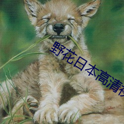 野花日本(běn)高清视频