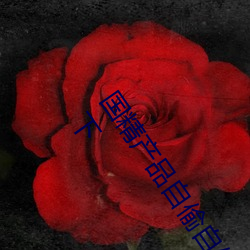 国精全网担保网自偷自偷2023(国精全网担保网自偷自偷2023无需会员版下