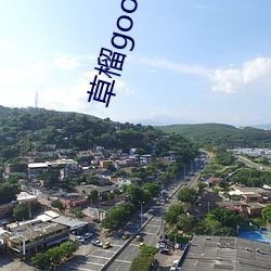 草榴google