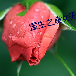 重生之嫡女无双 （入院）