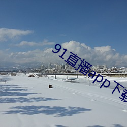 91直播(播)app下载
