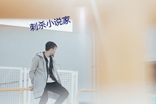刺杀(殺)小说家(家)