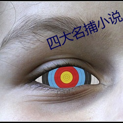 四大名捕小說