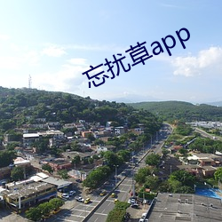 忘扰草app （遮阳帽）