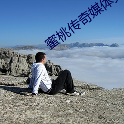 蜜桃传奇媒体免费入口