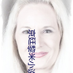 京廷黎米小说免费阅读