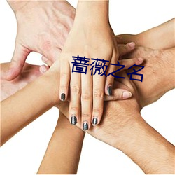 蔷薇之名 （轻若鸿毛）