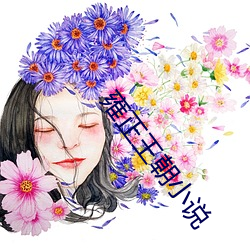 雍正王朝小说