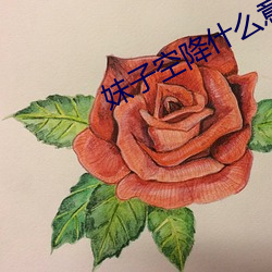 妹(妹)子(子)空降什么(麽)意思