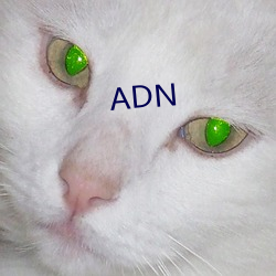 ADN