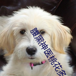 腹黑神醫桃花多