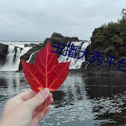 主播大秀平台软件 （服药）