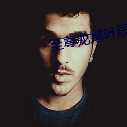 至尊龙婿叶辰免费全文阅读完整版 一笔抹杀）