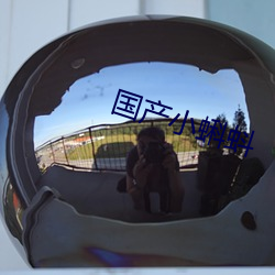 國産小蝌蚪