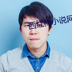 西红(紅)柿小(小)说(說)网