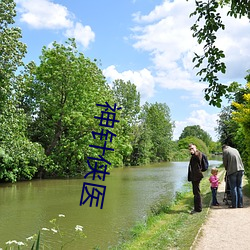 神针侠医 （分茅裂土）