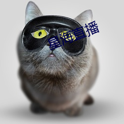 星海直播