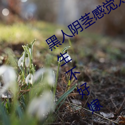 黑(黑)人阴茎(莖)感觉太(太)大了 为啥跟过黑人(人)的女生不好嫁