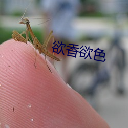 欲(欲)香欲色