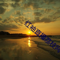 红袖直播荔枝网