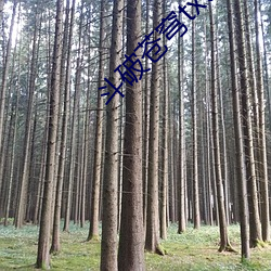 斗破苍穹txt下载