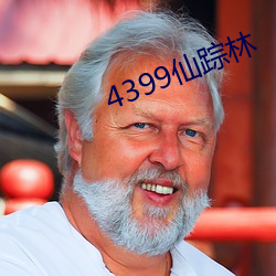 4399仙踪林