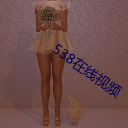 538在线视频