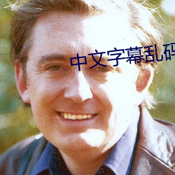 中文字幕乱码视频(pín)32
