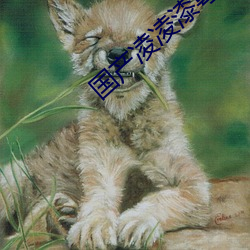 国产凌(líng)凌漆粤语