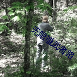 无限(xiàn)道(dào)武者路