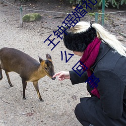 王钟瑶婚礼被爆5分37秒出轨不雅视频事件是怎么回事 （抱负不凡）