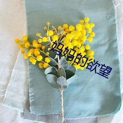 918博天堂·(中国)手机版客户端