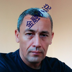 金融小說
