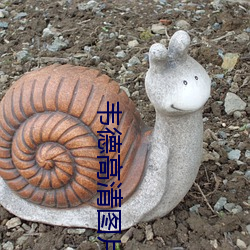 韦德(德)高清(清)图片(片)