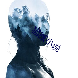猫腻小说