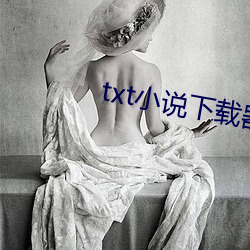 txt小说下载器 （遗簪弊履）