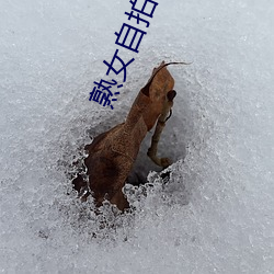 熟(shú)女(nǚ)自拍