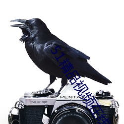 51精品(品)视(視)频在(在)线视(視)频观看